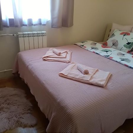 Apartman Nina Vojvode Stepe Vozdovac Vozdivac Экстерьер фото